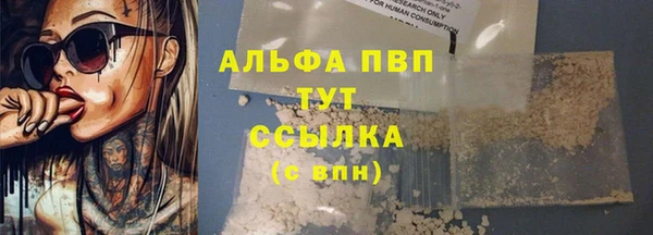 мяу мяу мука Гусев