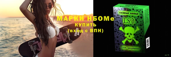 стафф Надым