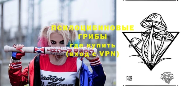 стаф Гусь-Хрустальный