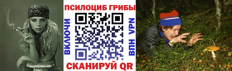 купить   omg ссылки  Галлюциногенные грибы ЛСД  Новохопёрск 